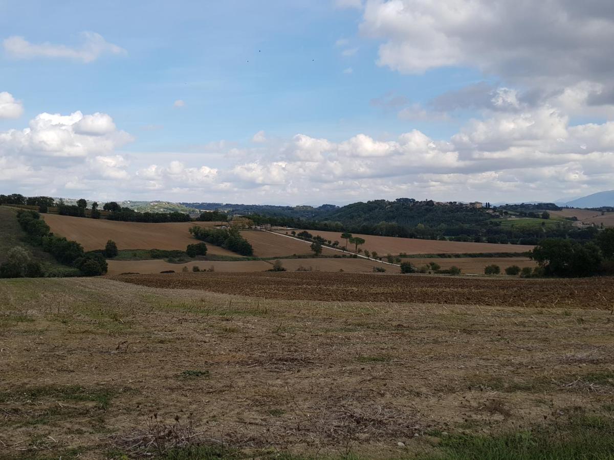 Agriturismo Il Pappamerlo Pila  Esterno foto